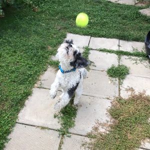 Meet your Posher, Catherine